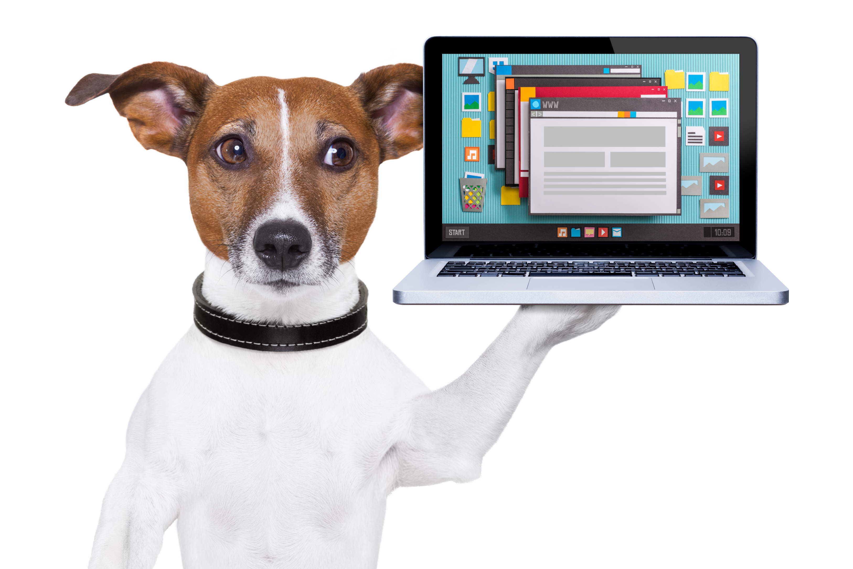 Dog showing computer with computer apps open